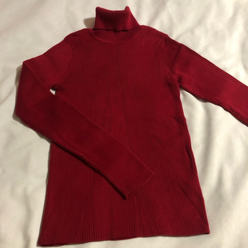 Northern Reflections Turtleneck